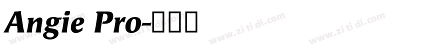 Angie Pro字体转换